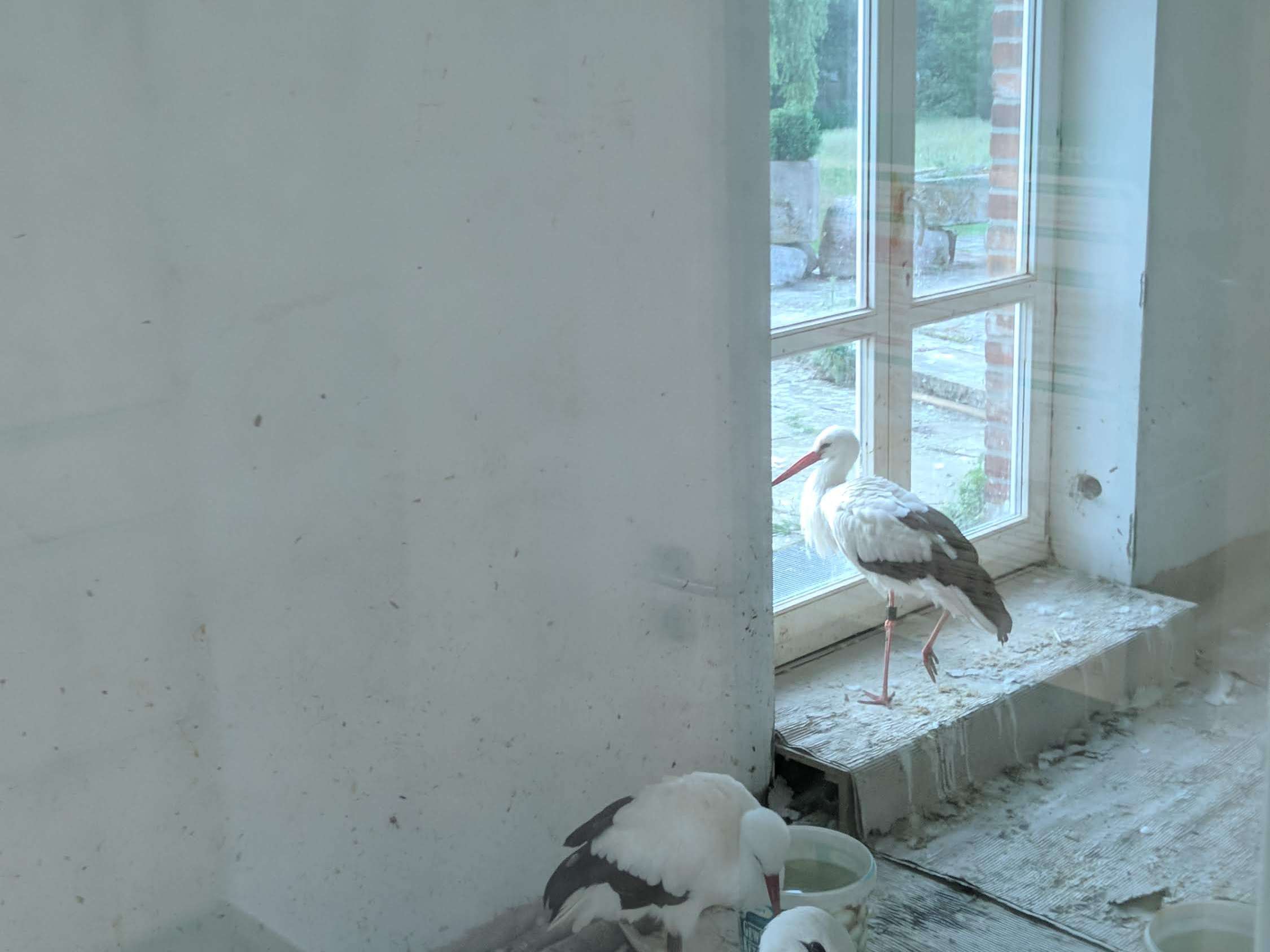 Ansicht 3 von Kleintierpraxis in der Storchenstation Dr. Birge Herkt
