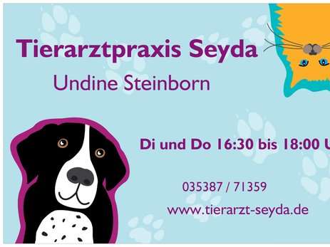 Ansicht 1 von Tierarztpraxis Seyda