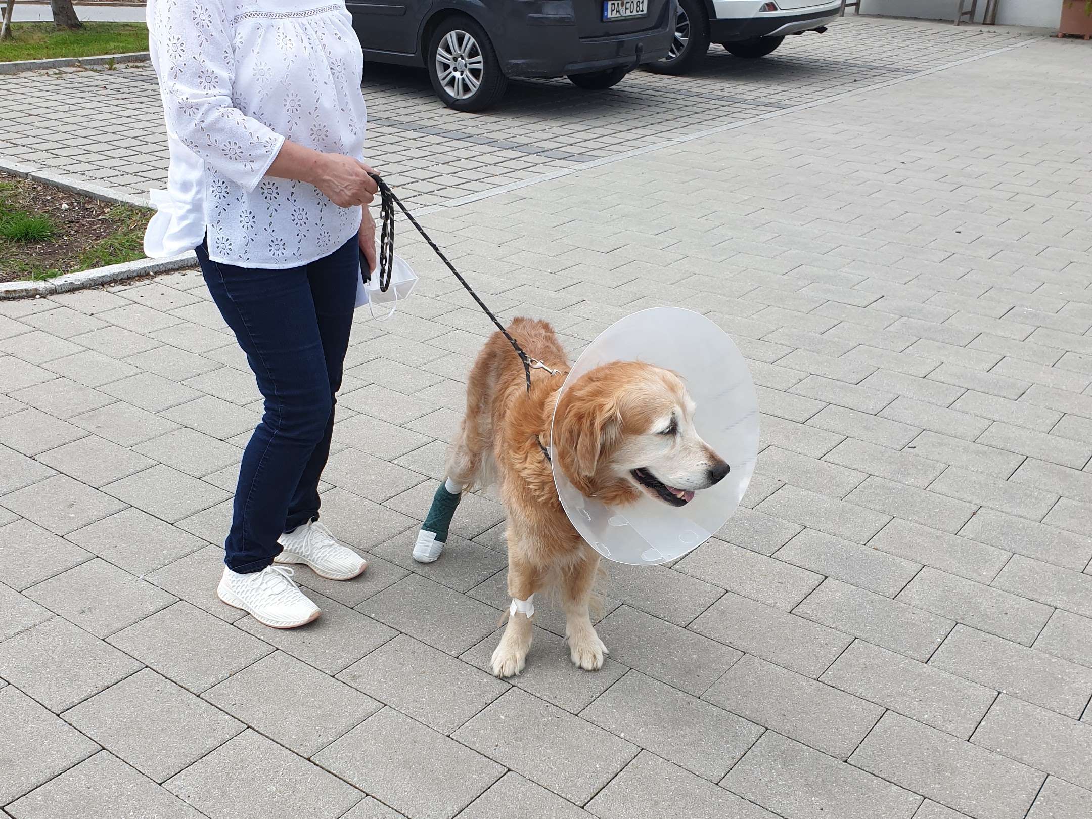 Ansicht 1 von Tierärztliche Klinik Kurzeichet