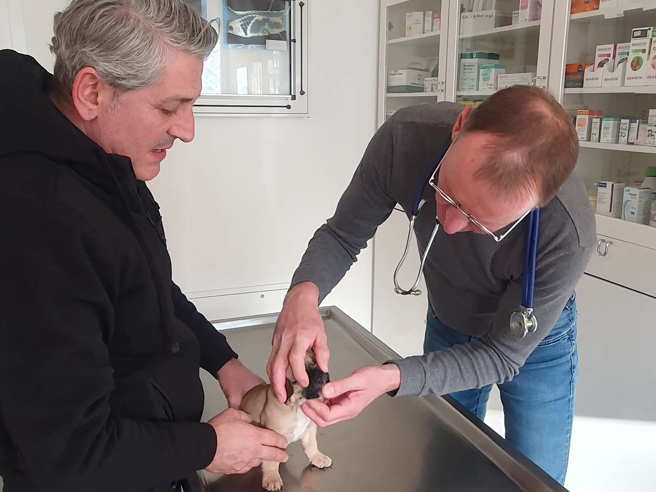 Ansicht 3 von Dr.med.vet. Claus Funke