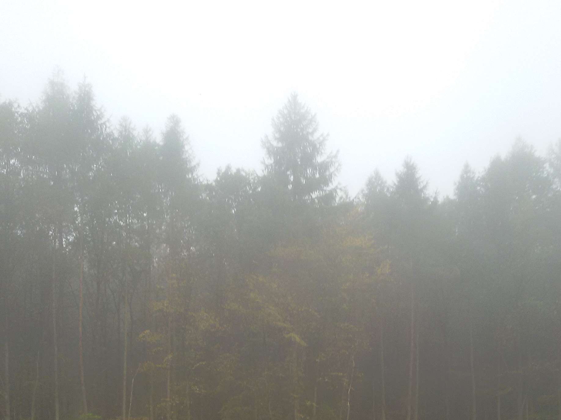 Ansicht 1 von Tierarztpraxis Ohlmeyer