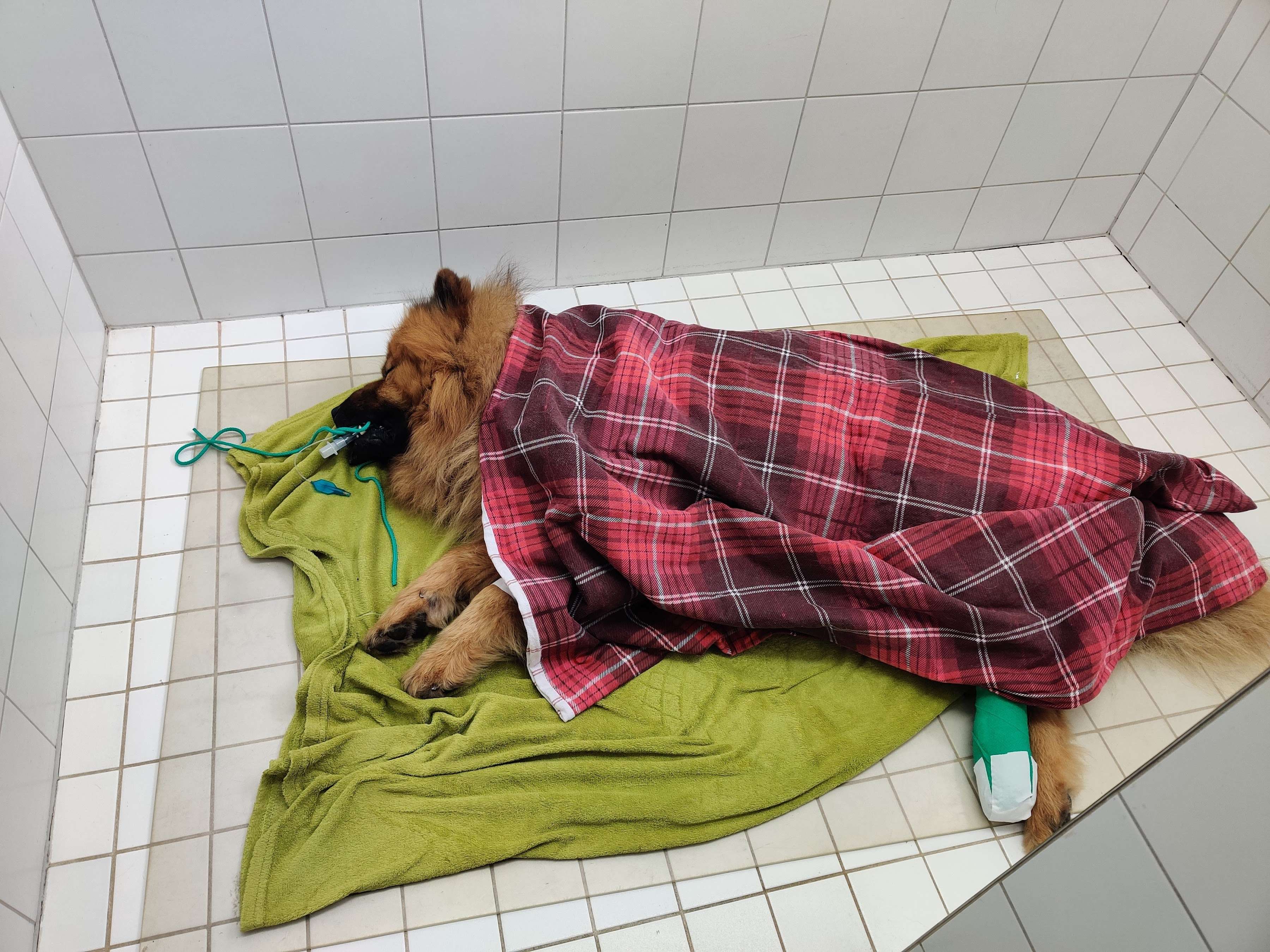 Ansicht 1 von Dr. Elisabeth Kutschera