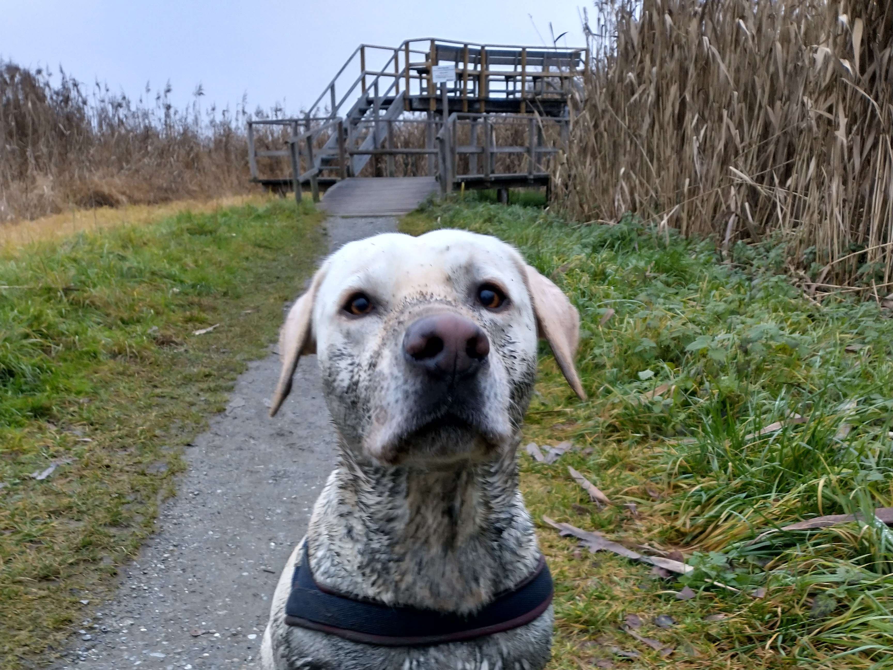 Ansicht 1 von Tierärztliche Gemeinschaftspraxis in Oberschwaben