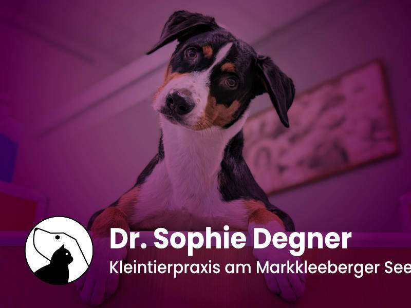 Ansicht 1 von Dr. Sophie Degner - Kleintierpraxis am Markkleeberger See