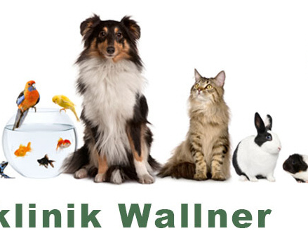 View 1 of Tierklinik & Tierärztliche Apotheke Dr Anton & Barbara Wallner