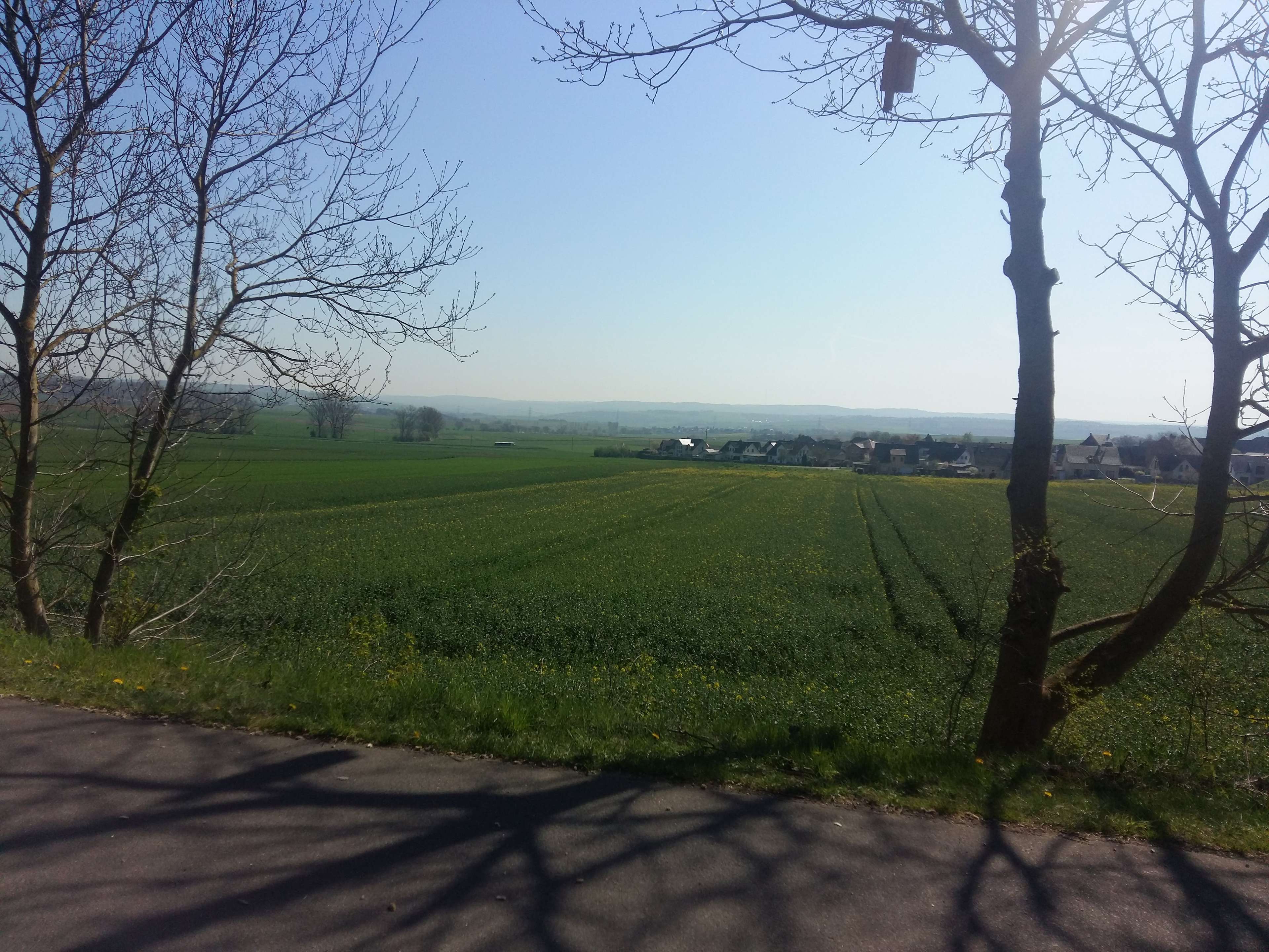 Ansicht 1 von Tierarztpraxis Stephanie Krechel
