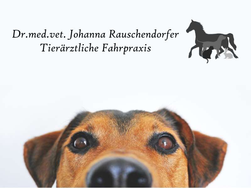 Ansicht 1 von Tierärztliche Fahrpraxis Dr. Johanna Rauschendorfer