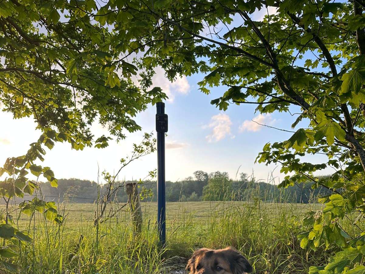 Ansicht 3 von Tierarztpraxis Welzin