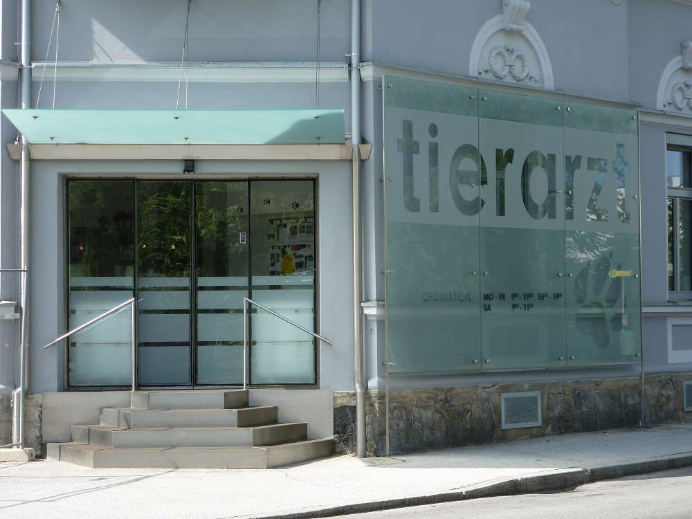 Ansicht 1 von Tierarztpraxis Puchstrasse e.U.