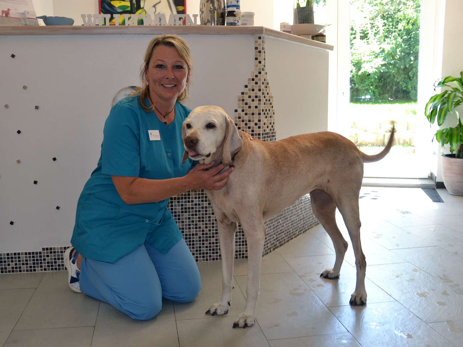 Ansicht 3 von Tierphysiotherapie Susanne Hoffmann
