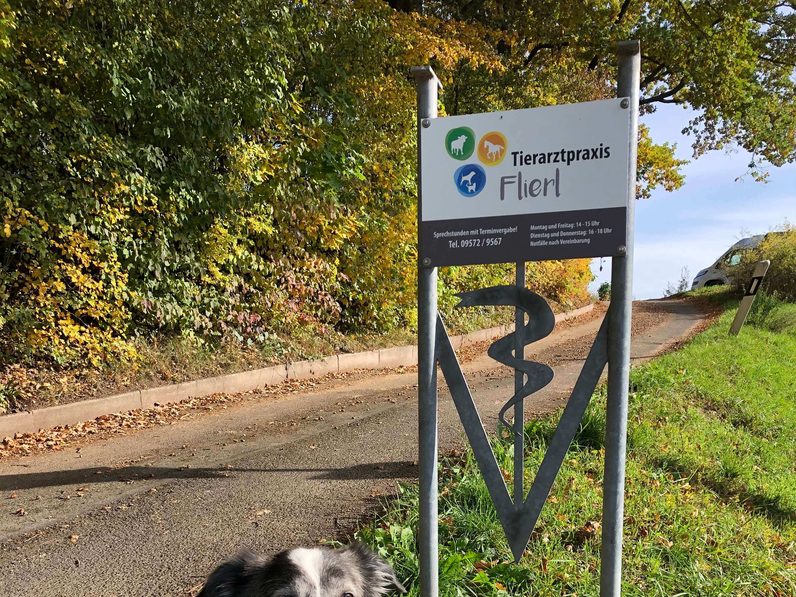 Ansicht 1 von Tierarztpraxis Flierl