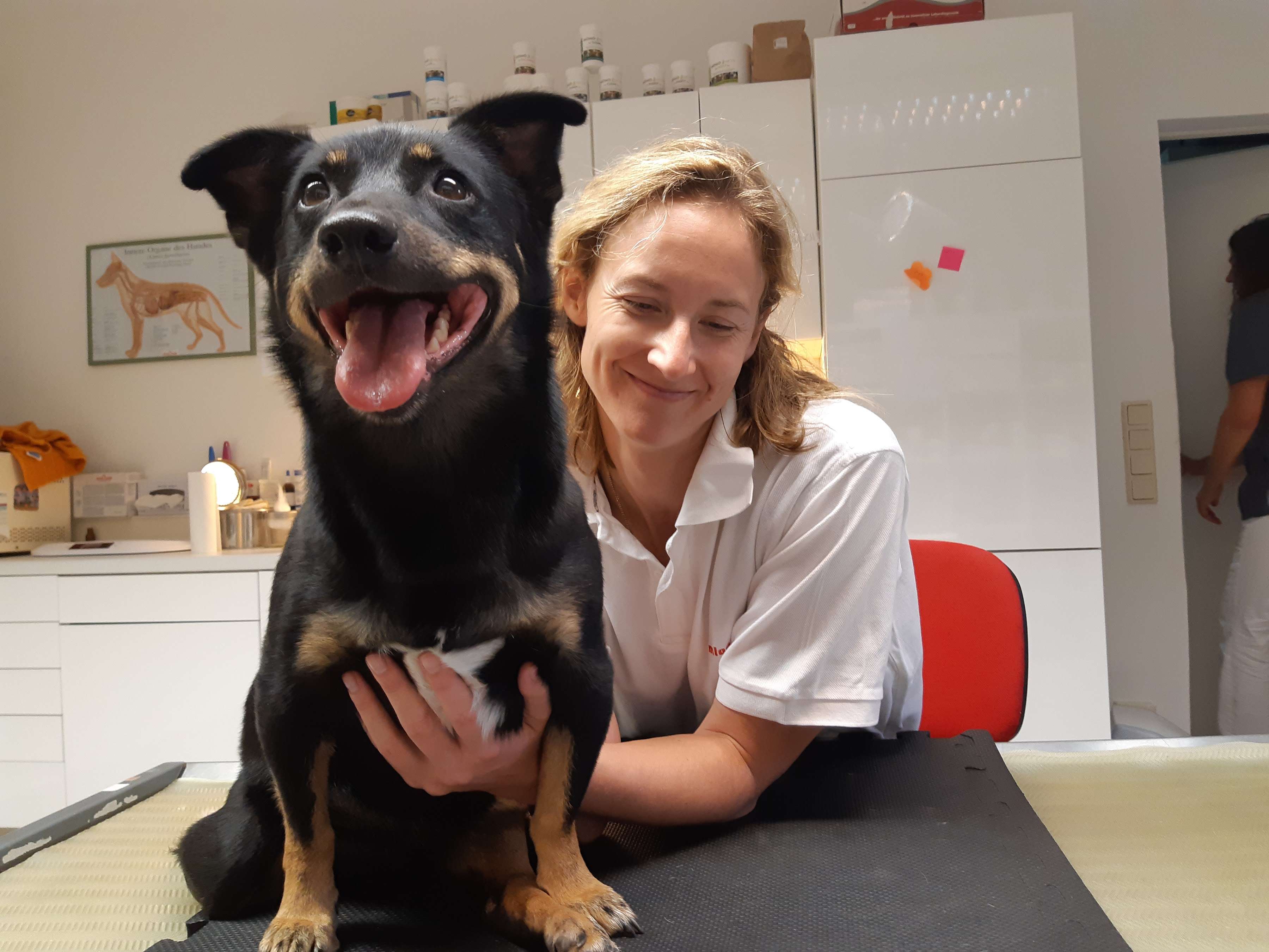 Ansicht 3 von CityVet Tierarztpraxis Gersthof