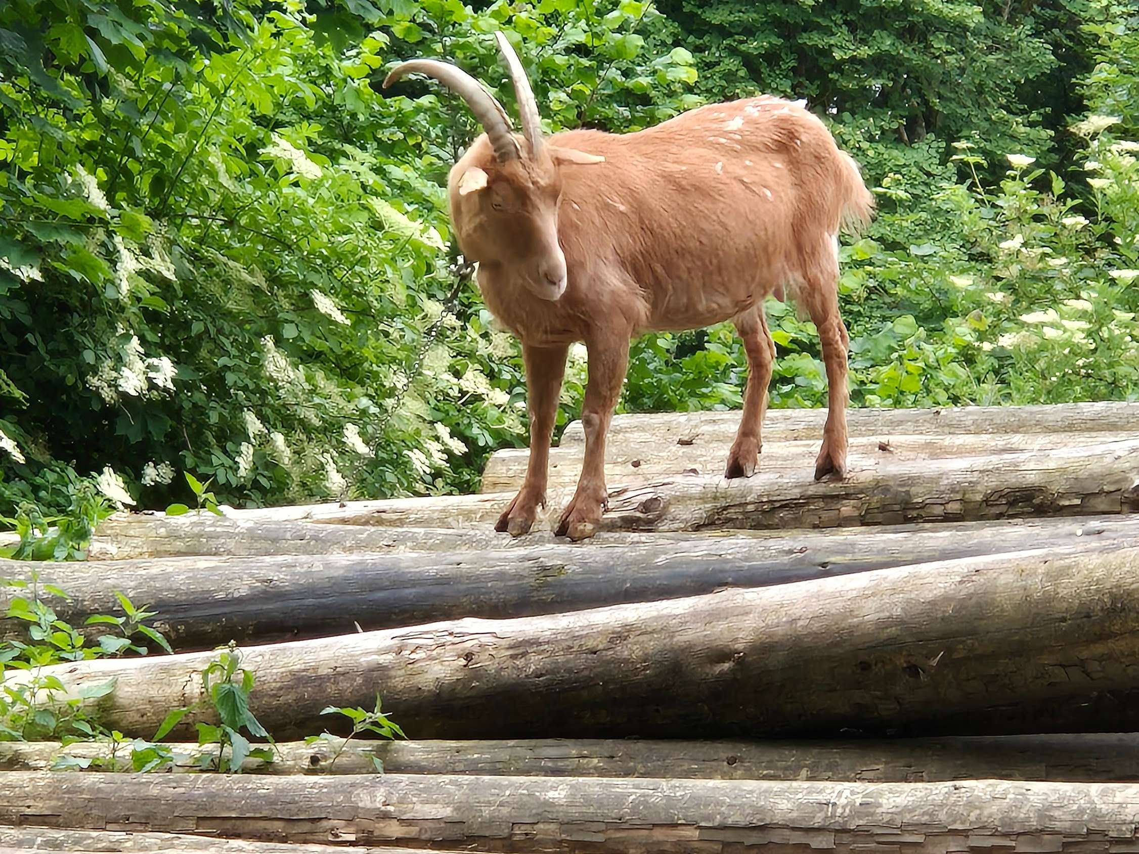 Ansicht 2 von Tierarztpraxis Reinecke