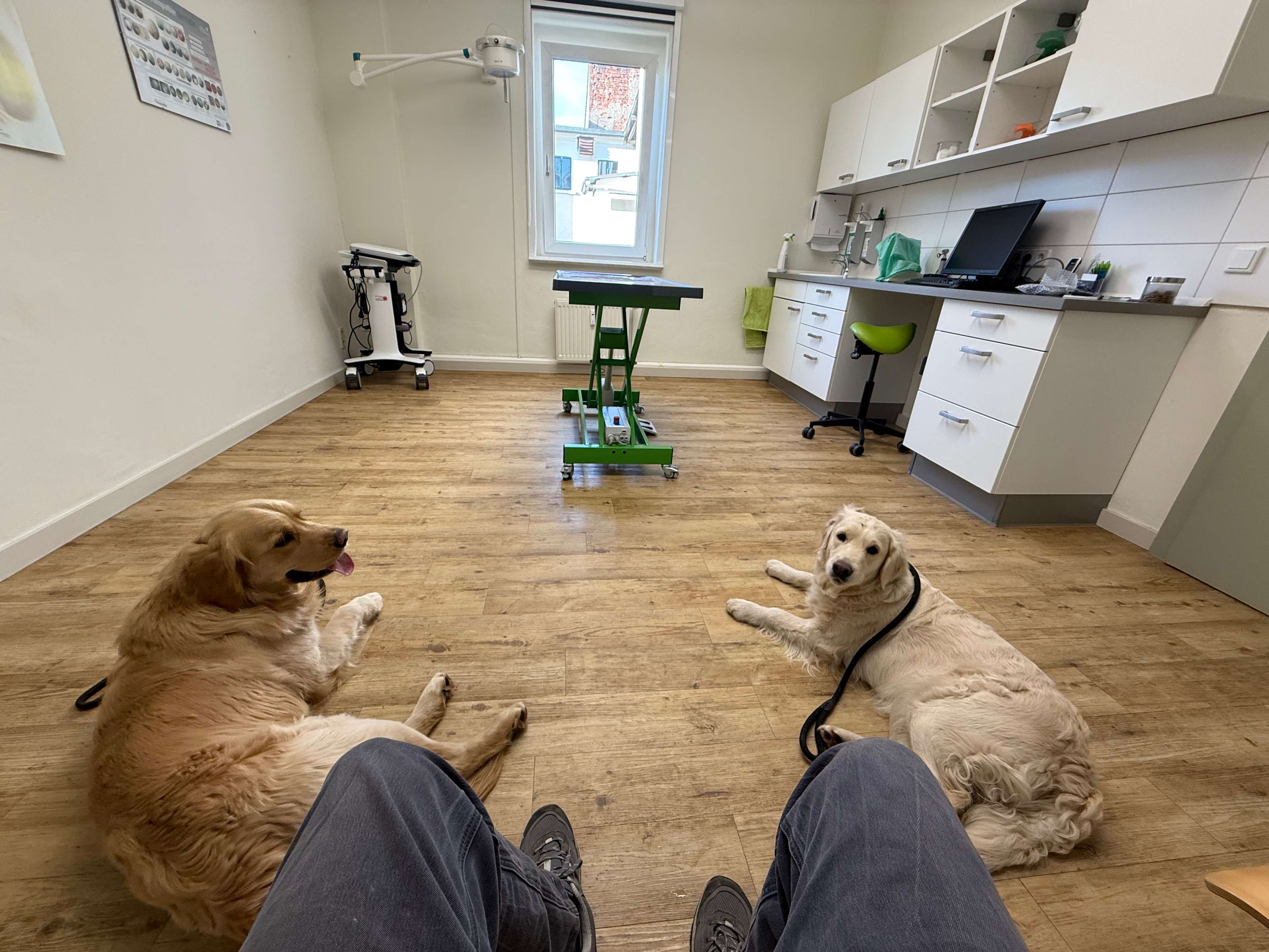 Ansicht 2 von Tierärztliche Praxis für Augenheilkunde, Dr. von Krosigk & Dr. Voigt
