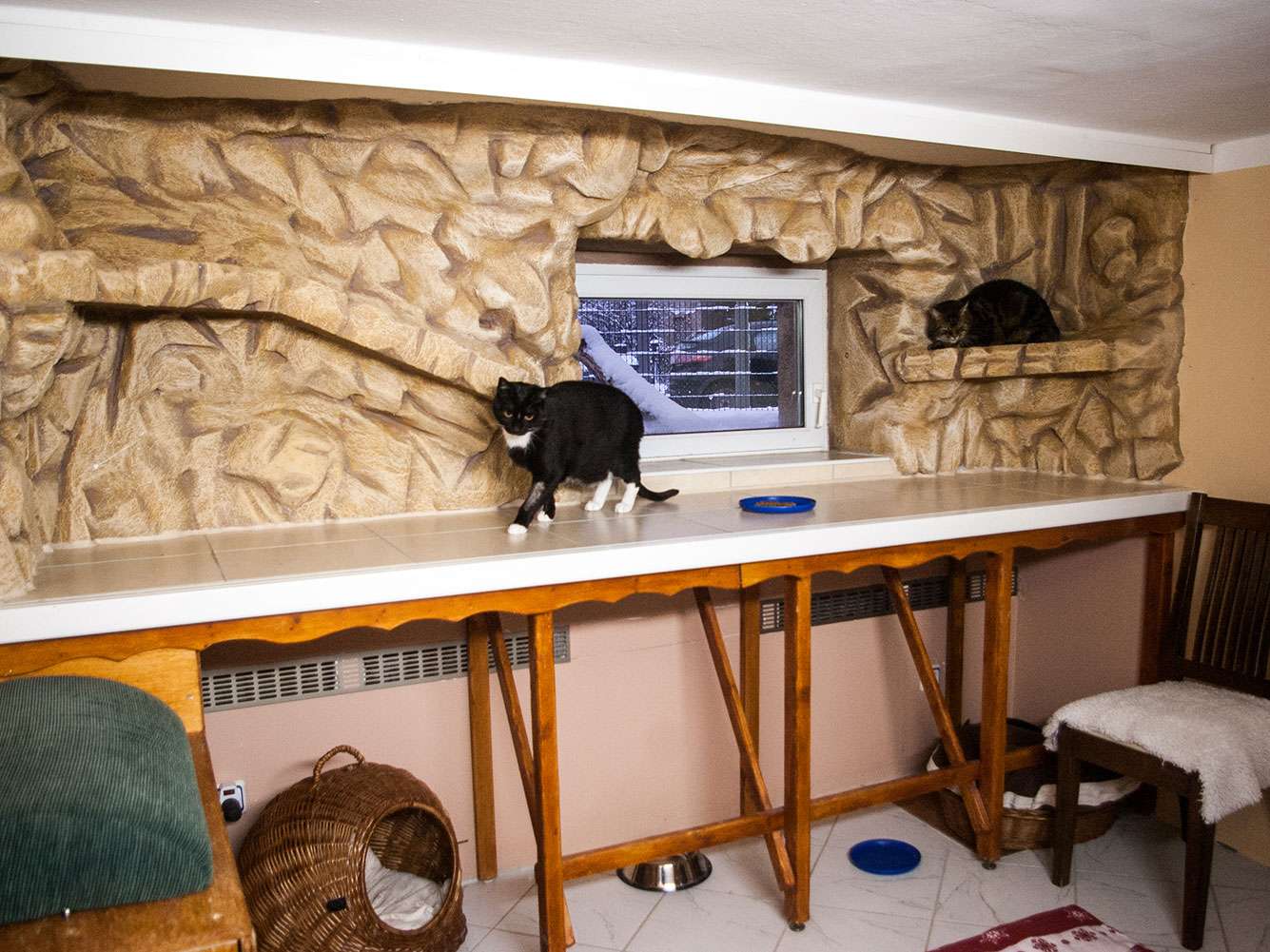 View 1 of Tierarztpraxis Dr. K. Schalla und Katzenpension