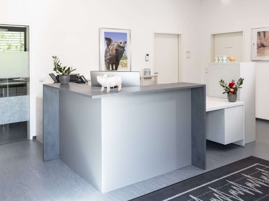 Ansicht 1 von Traunkreis Vet Clinic GmbH - Tierarztpraxis Vorchdorf
