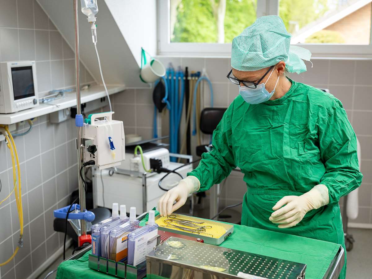 Ansicht 3 von Tierarzt Jülich, Tierärztliche Praxis für Kleintiere am Brückenkopfpark