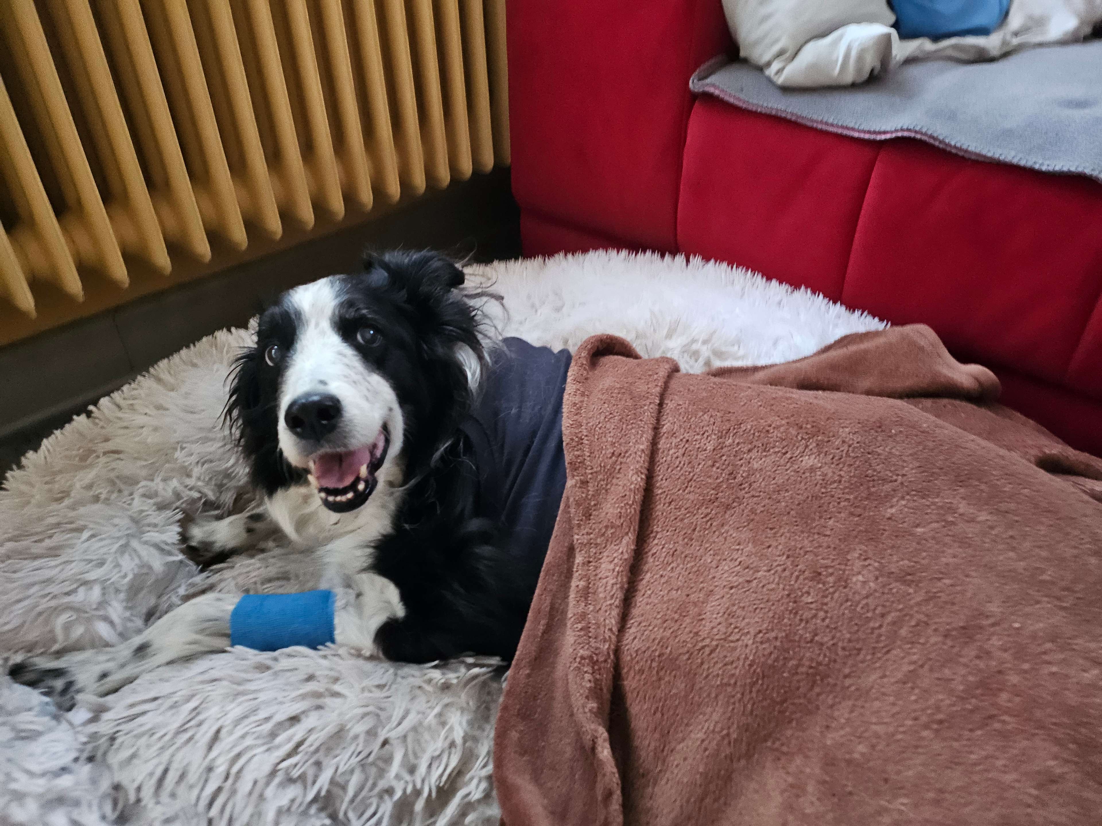 Ansicht 1 von Tierärztliche Klinik Fulda