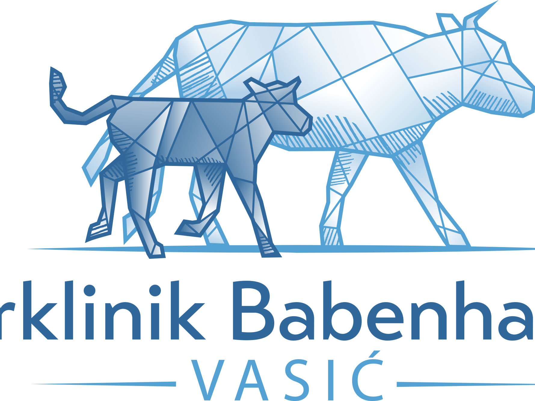 Ansicht 2 von Tierklinik Babenhausen Vasić