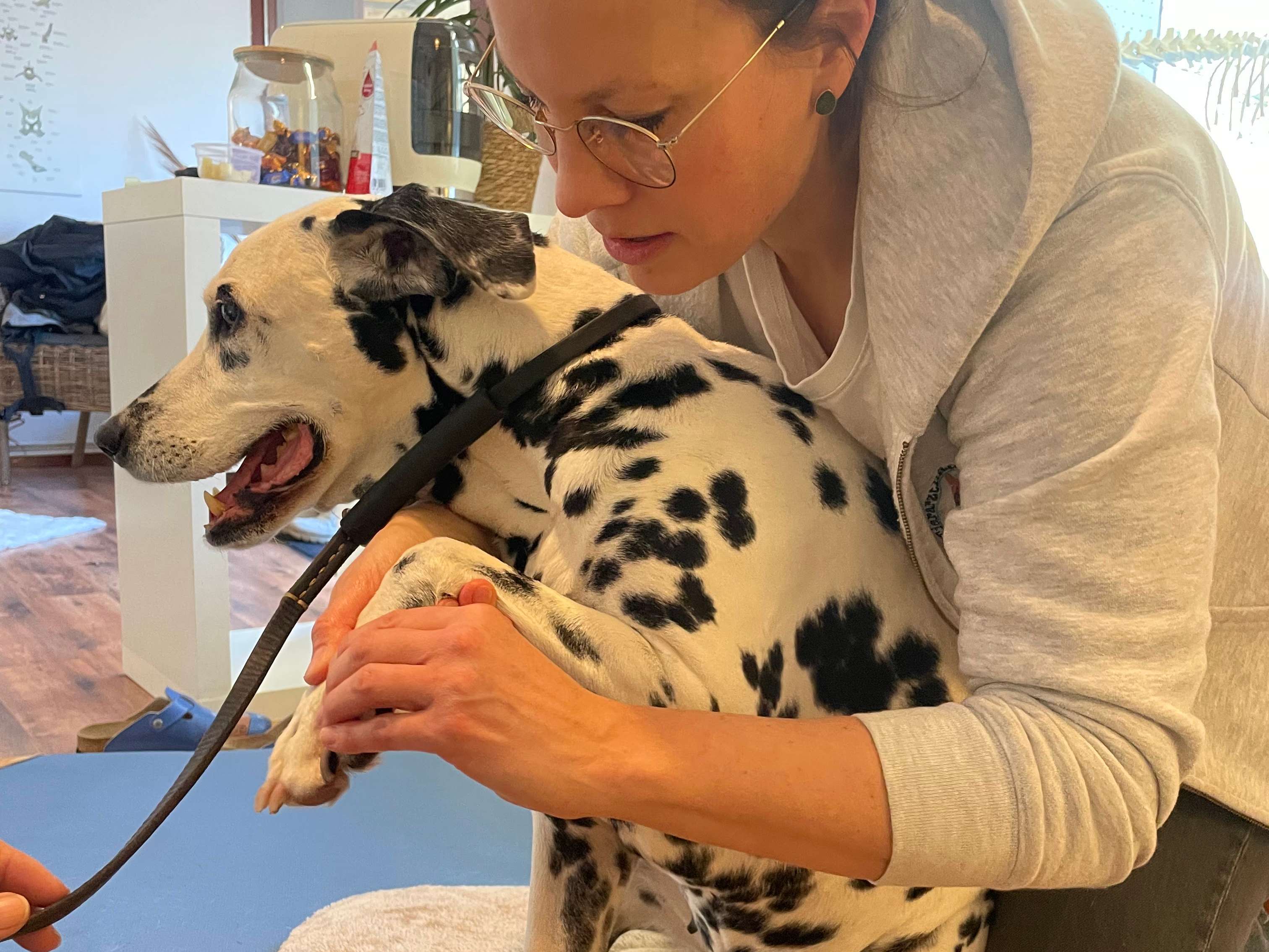 Ansicht 2 von Tierarzthände-Tierärzliche Praxis für Chiropraktik Hamburg - Rissen