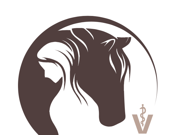 Ansicht 1 von OsteoVet – Osteopathie & Tierarztpraxis für Pferd und Hund