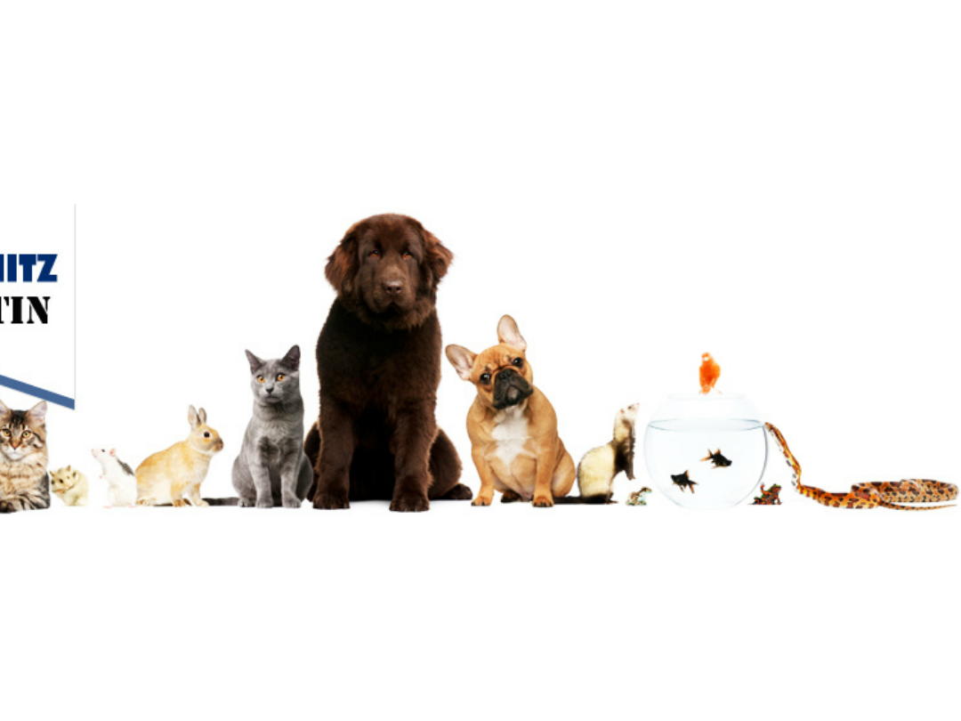Ansicht 4 von Linda Schmitz Tierärztin