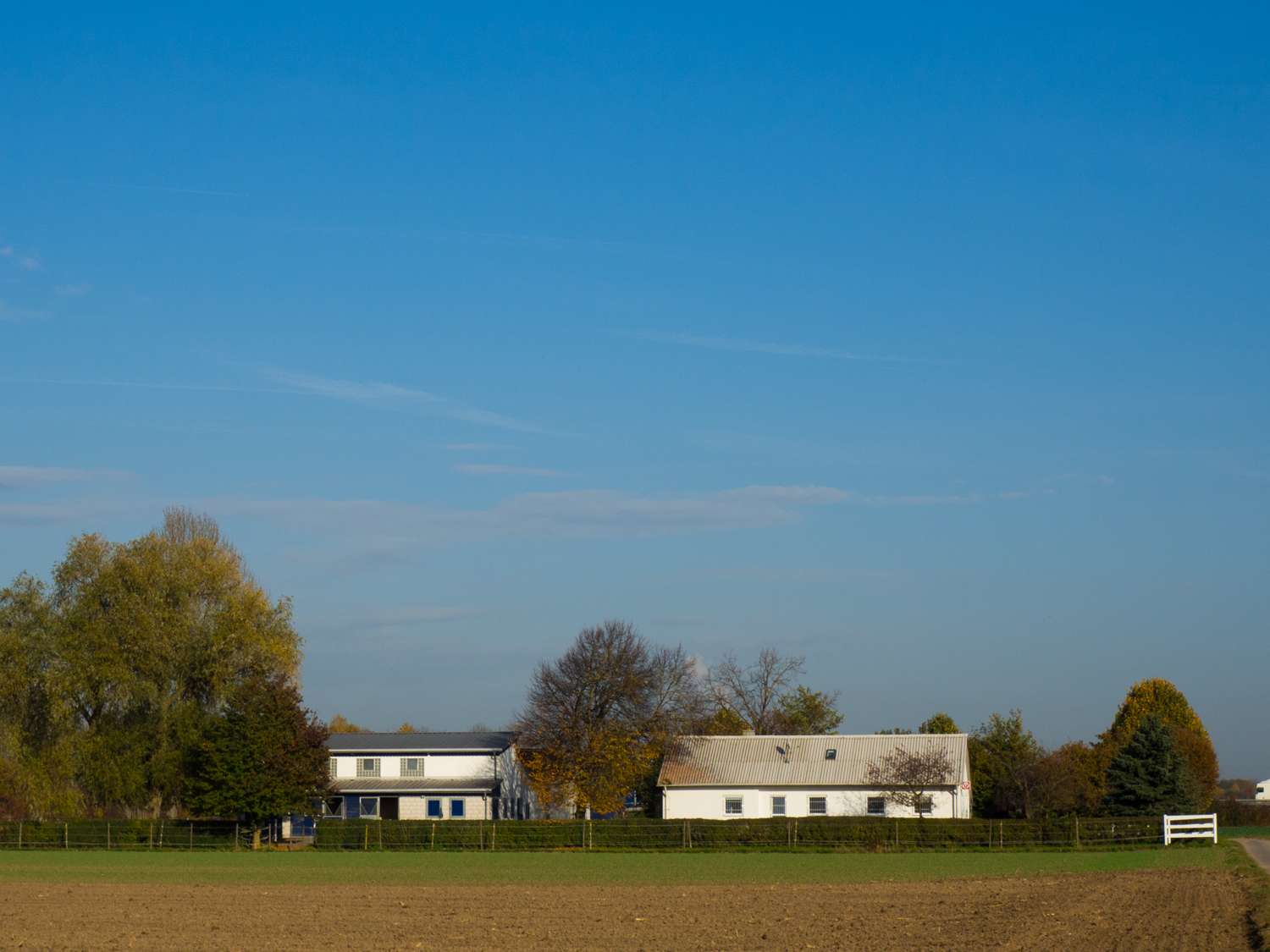 Ansicht 2 von Drs. Eberhard & Claudia Adamo - Tierarzt für Pferde und Kleintiere in Elchingen
