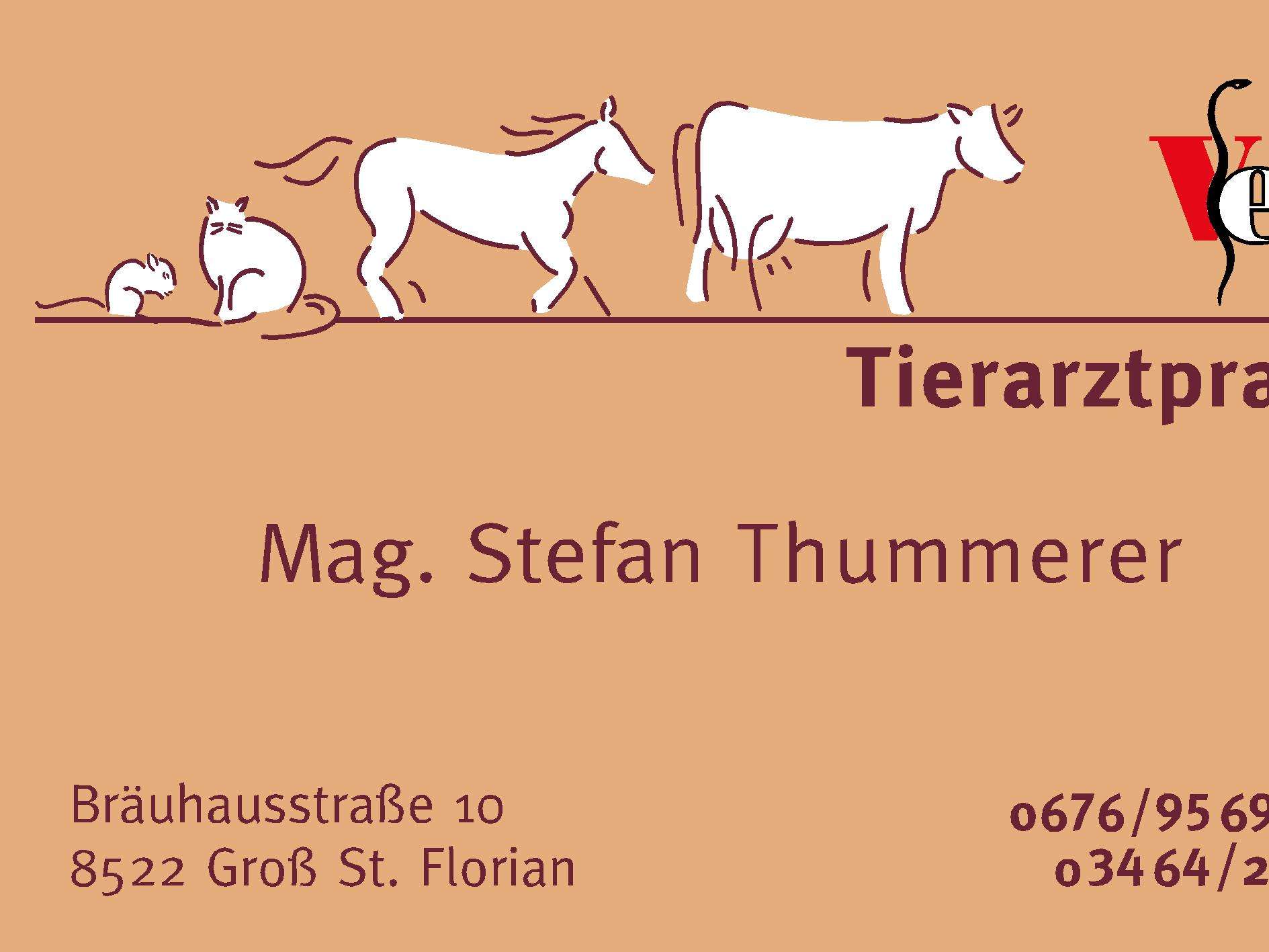 Ansicht 1 von Mag. med. vet. Stefan Thummerer