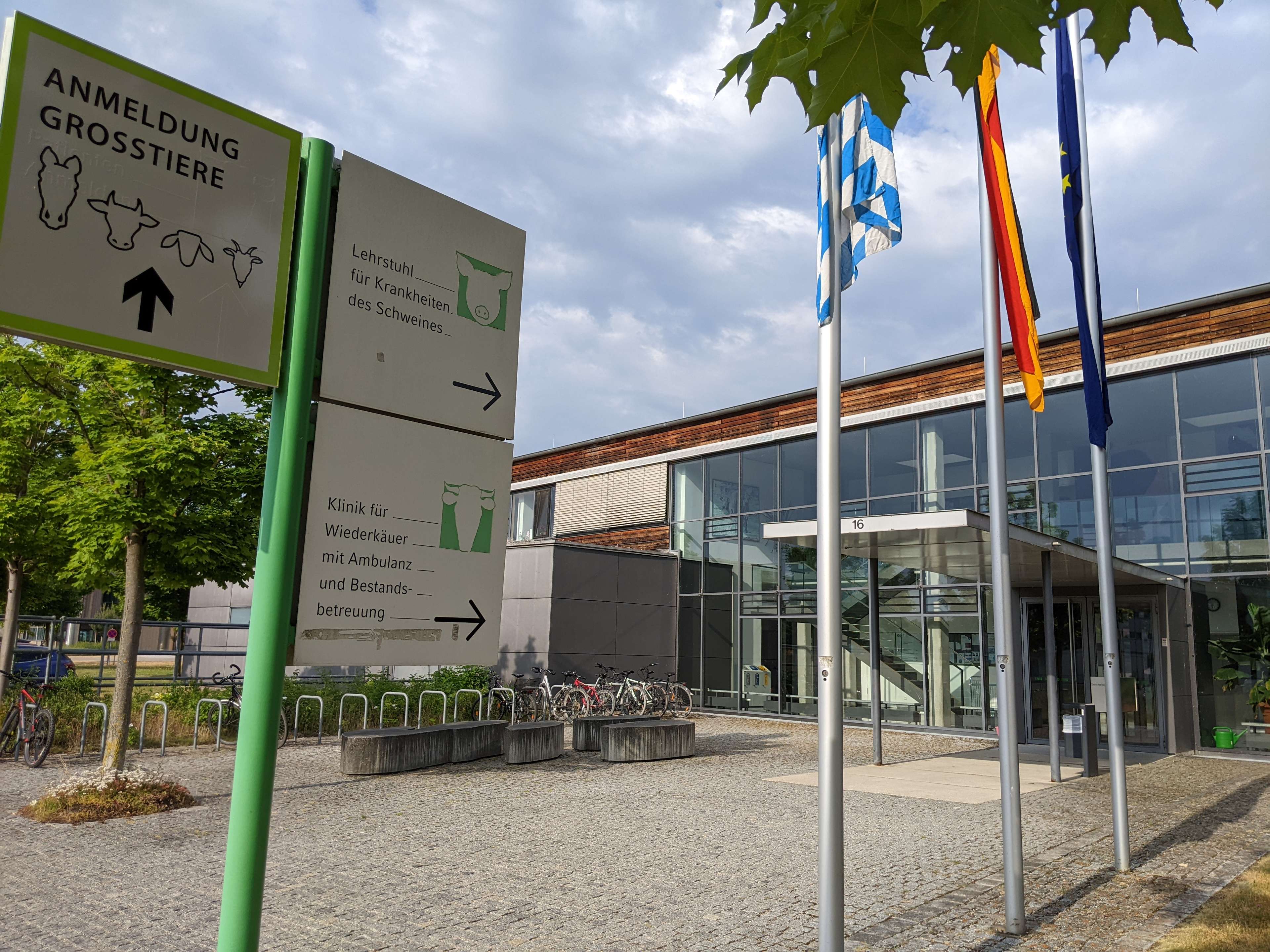 Ansicht 3 von Ludwig-Maximilians-Universität München Klinik für Schweine