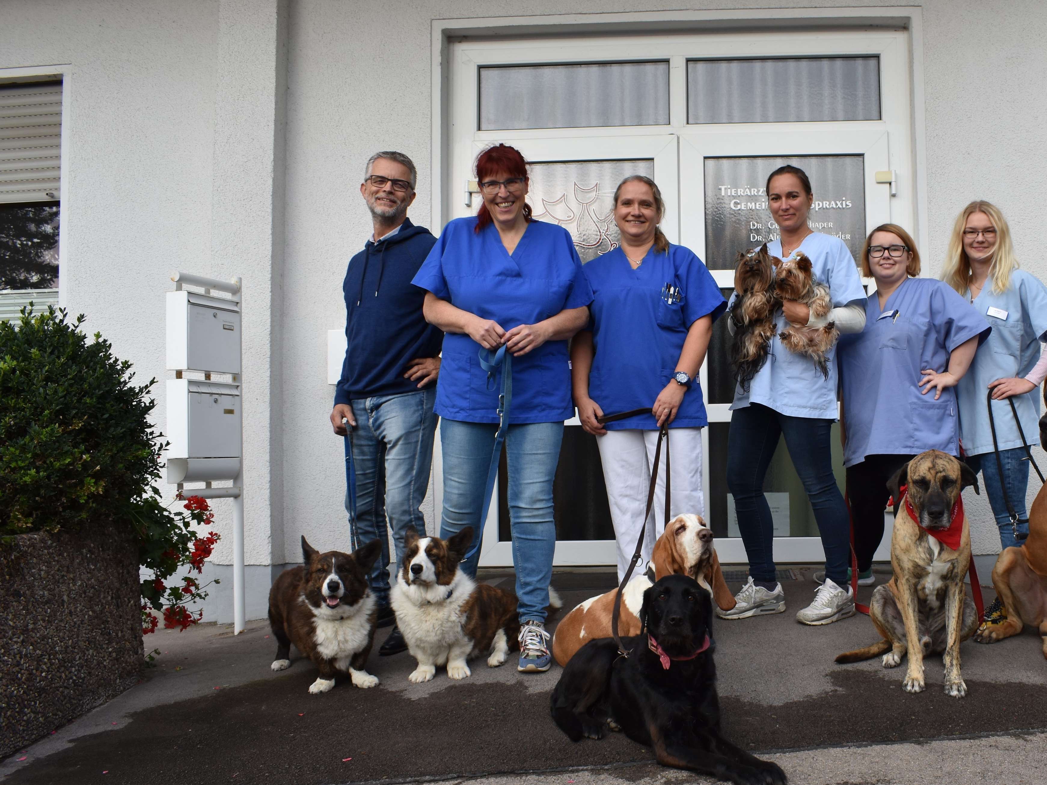 Ansicht 1 von Tierärztliche Gemeinschaftspraxis Dr. Gudula Schaper & Dr. Alexandra Schröder