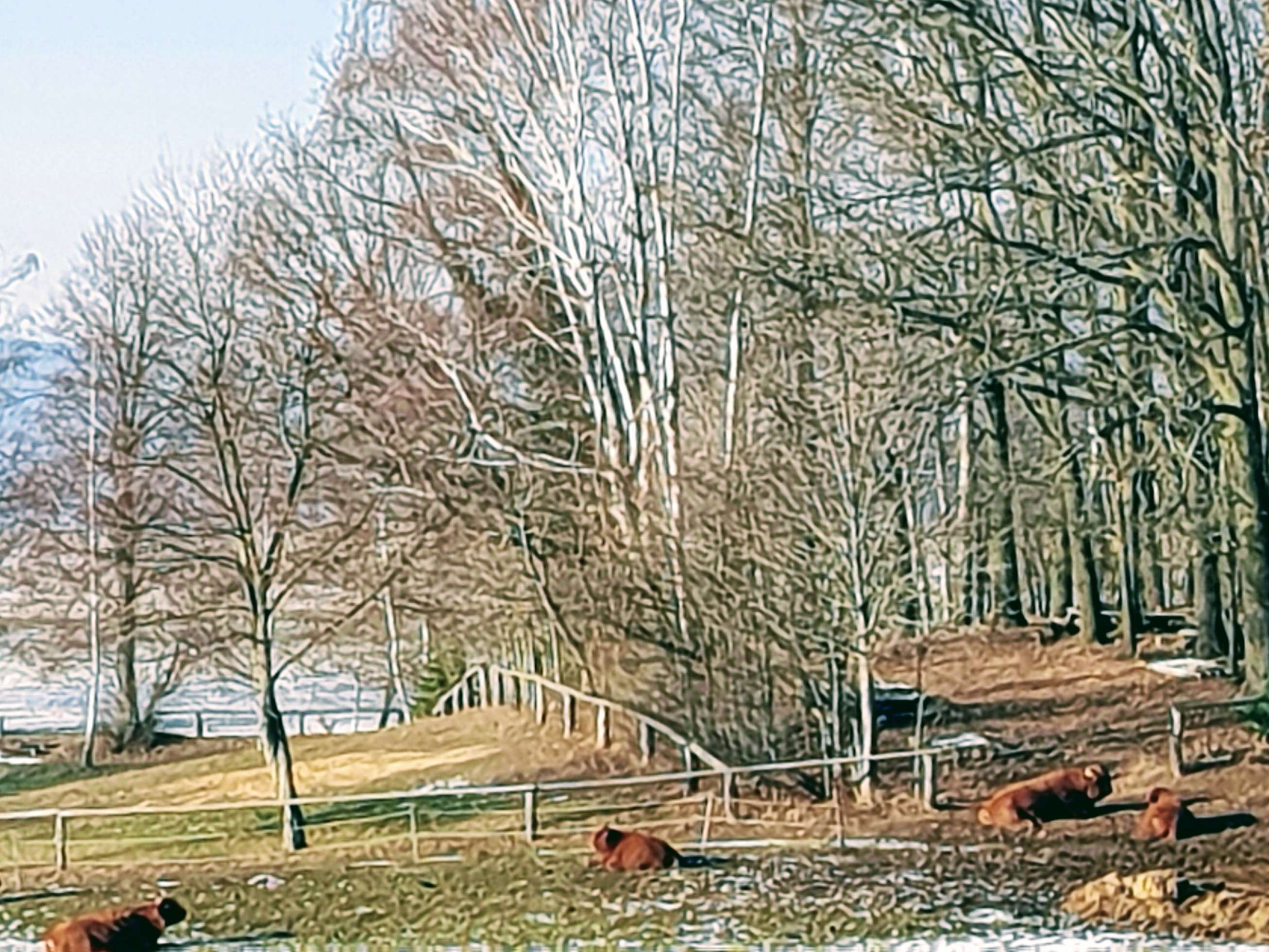 Ansicht 1 von Hubertus Kutschke Tierarzt