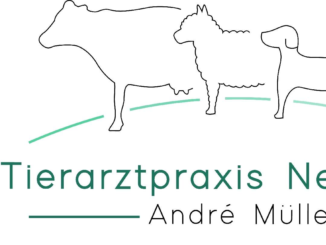 Ansicht 1 von Tierarztpraxis Neunhofen