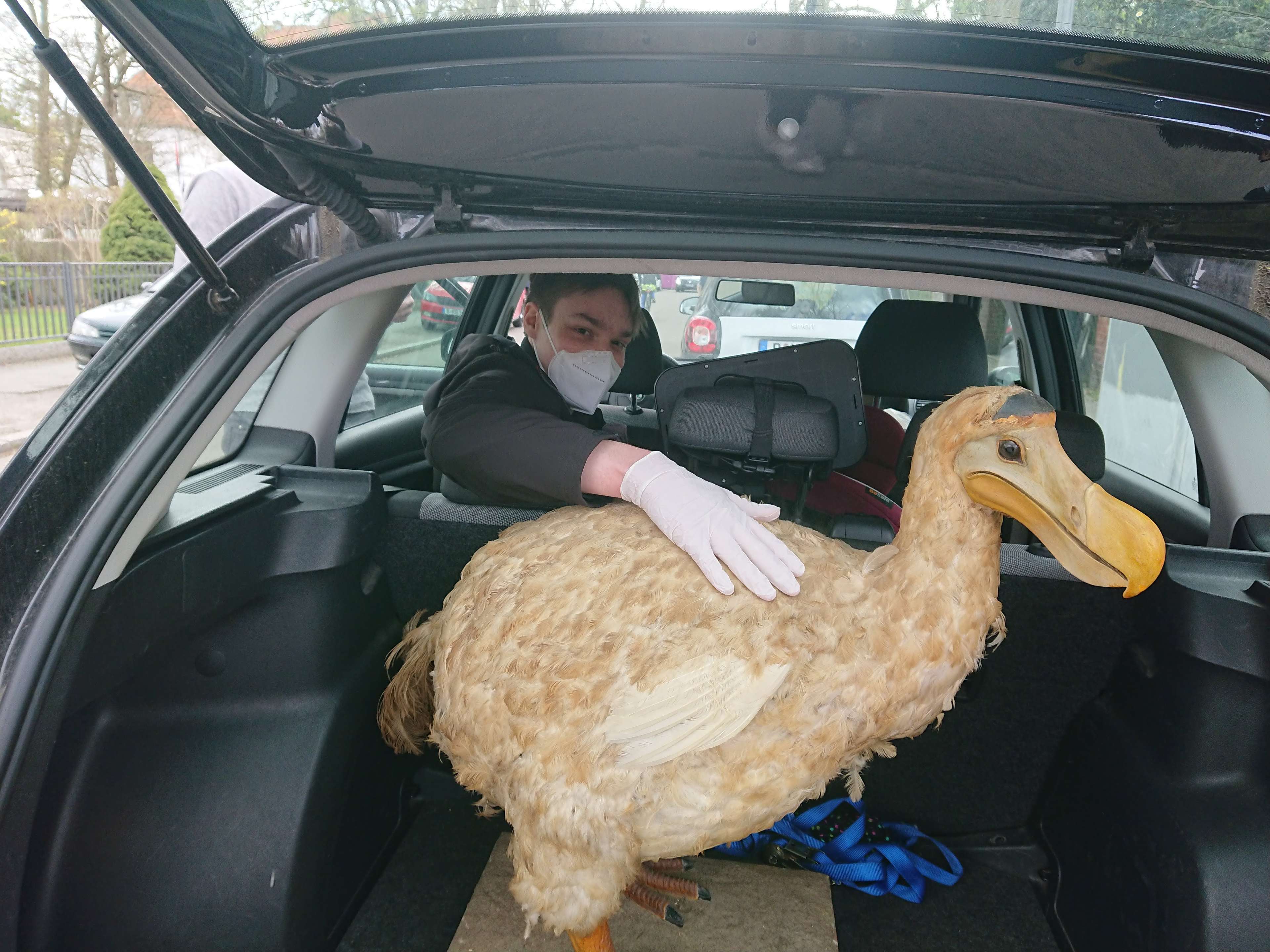 Ansicht 2 von Tierarztpraxis Gotthardt