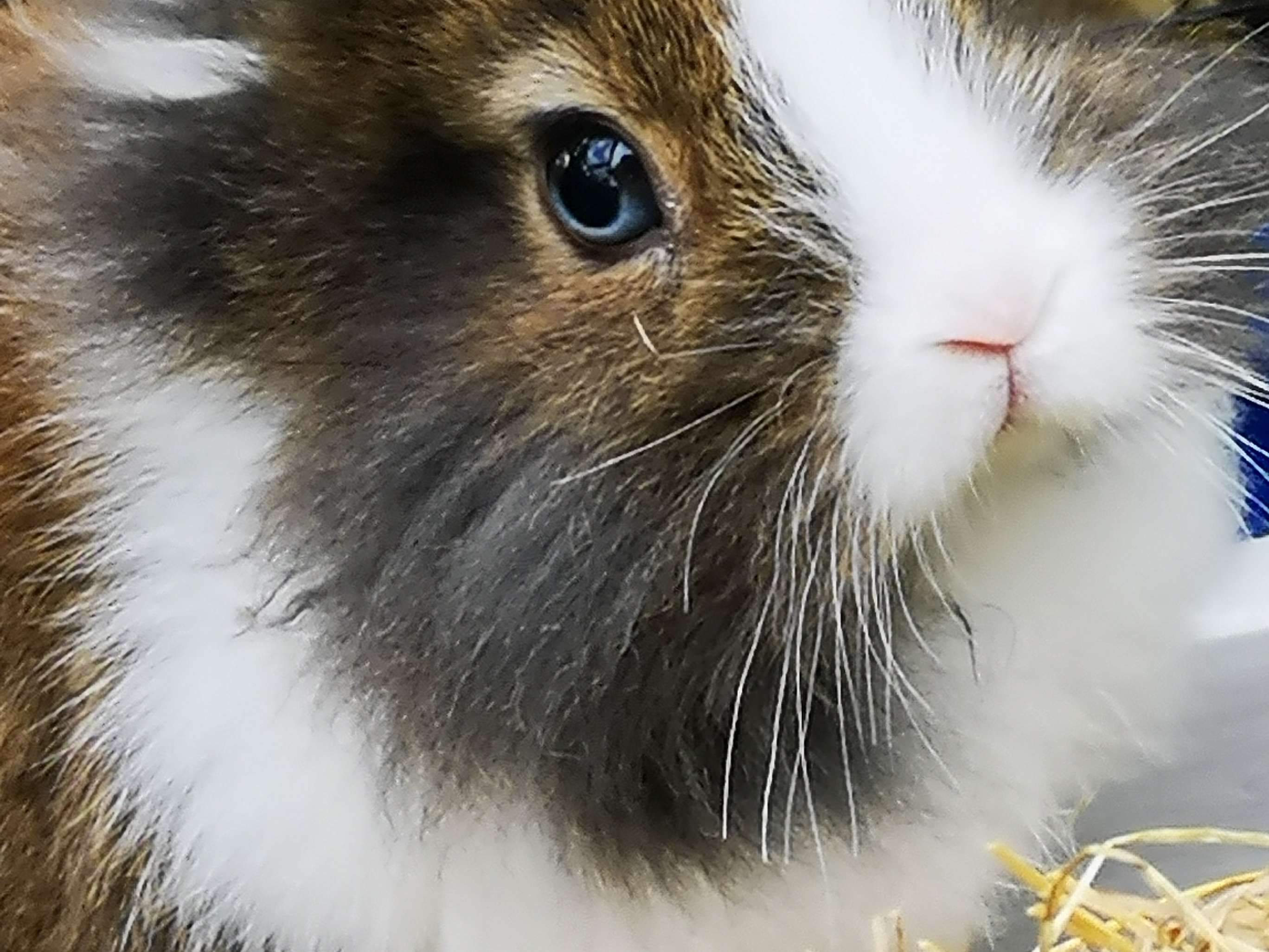 Ansicht 3 von Tierärztliches Zentrum für Kleintiere Herford
