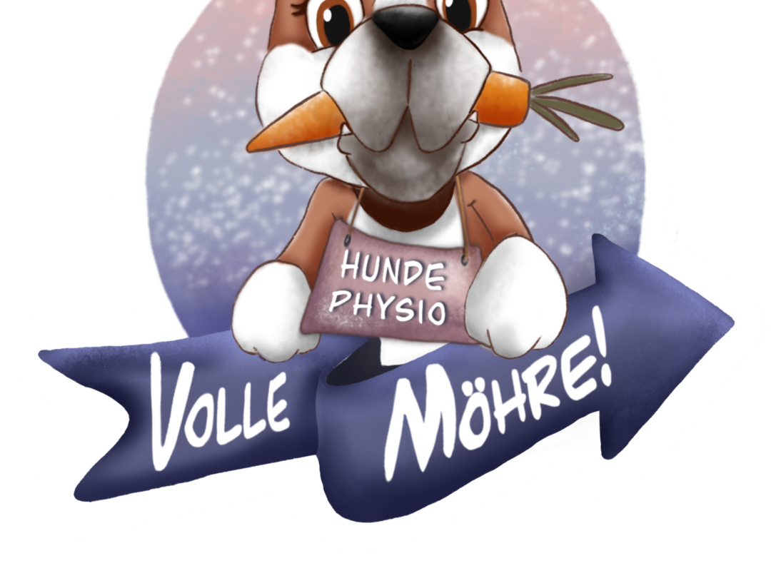 Ansicht 2 von Volle Möhre - Mobile Hundephysiotherapie & Ernährungsberatung für Hunde