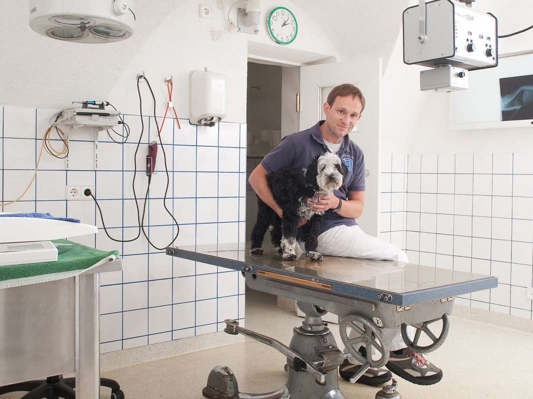 Ansicht 2 von Tierambulatorium Zirl, Dr.med.vet Stefan Ferschl, MSc, Fachtierarzt für Kleintiere