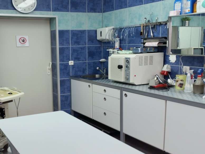 Ansicht 1 von Tierchirurgie Bad Homburg