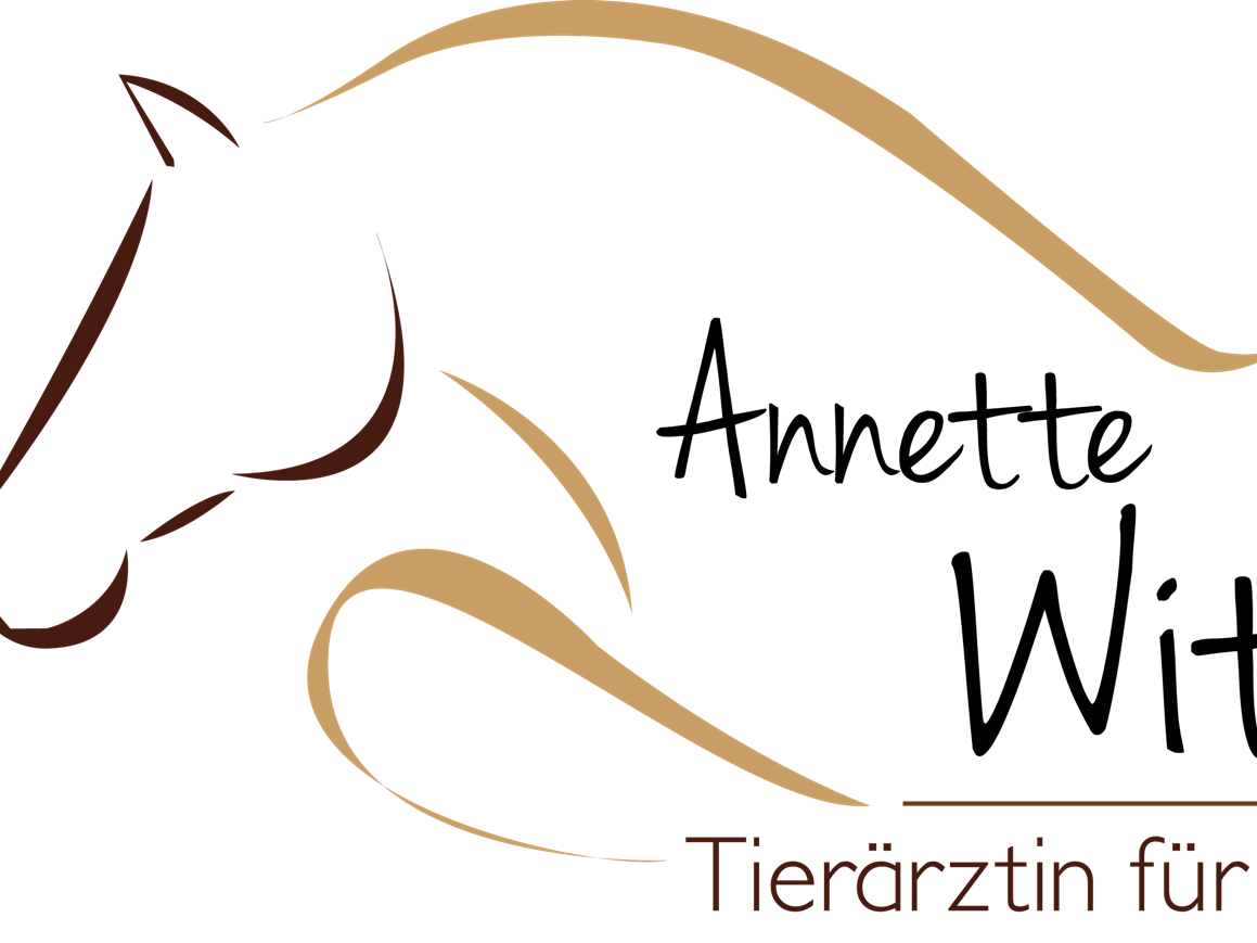 Ansicht 2 von Annette Witzel - Tierärztin für Pferde
