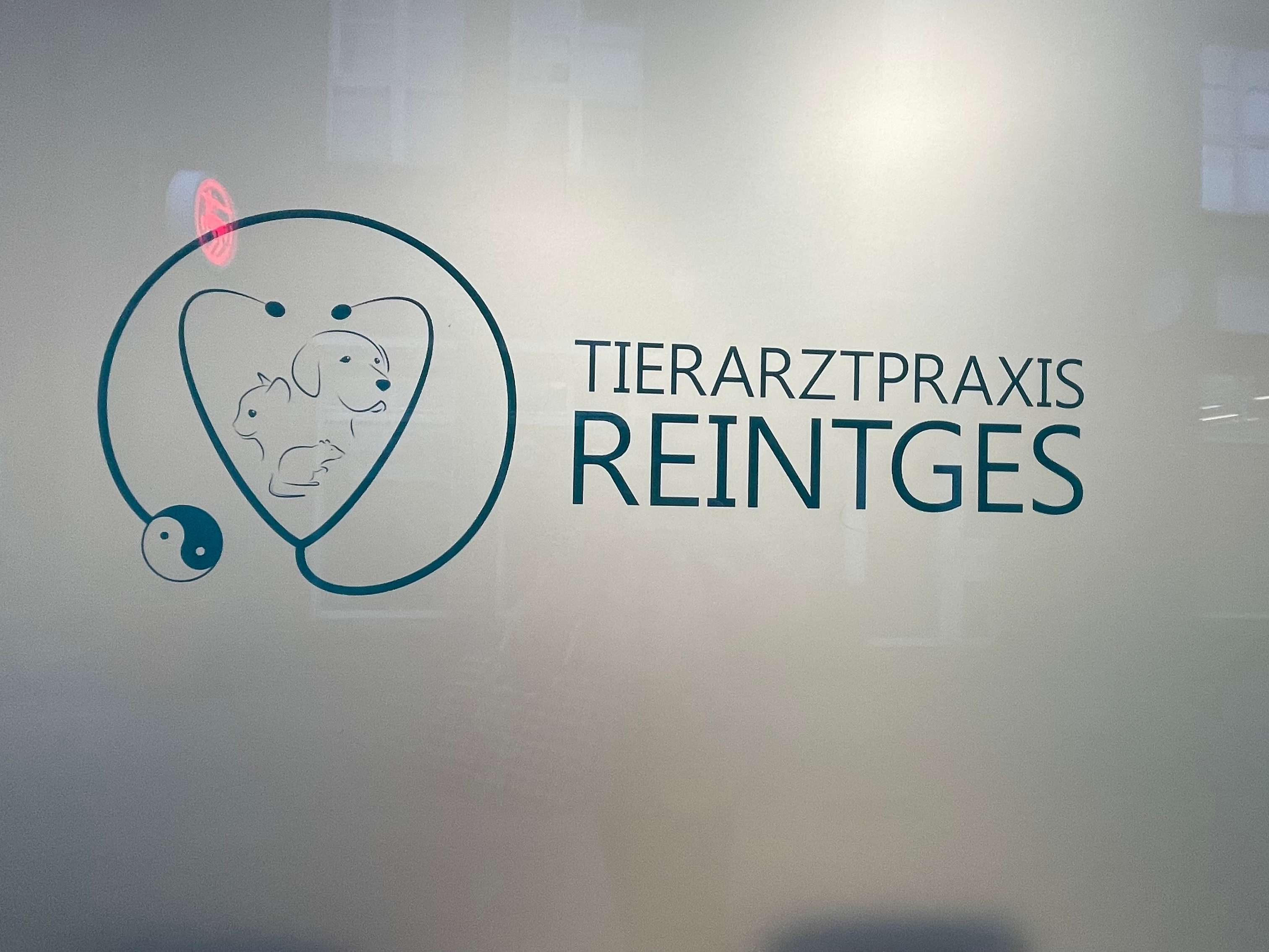 View 2 of Tierarztpraxis Reintges