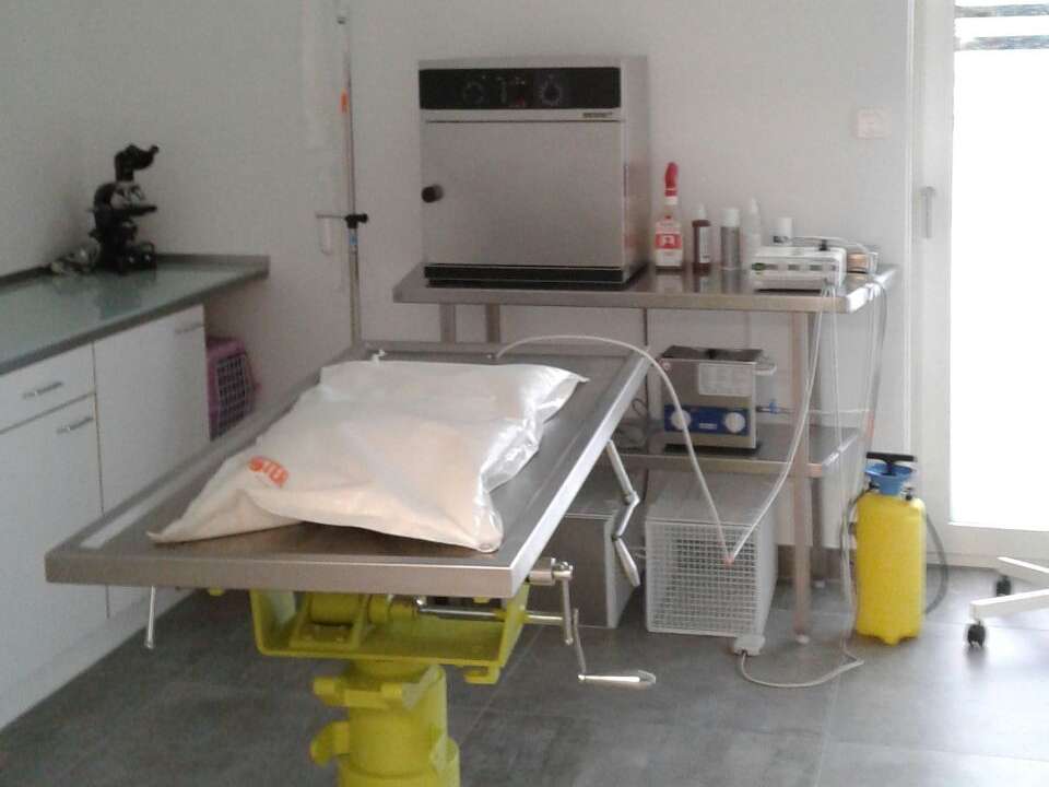 Ansicht 1 von Tierarztpraxis Ulrike Künnemann