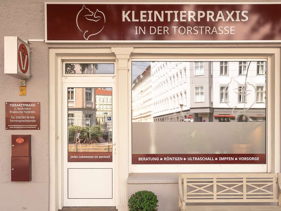 Ansicht 1 von Christin Bechmann - Kleintierpraxis in der Torstrasse