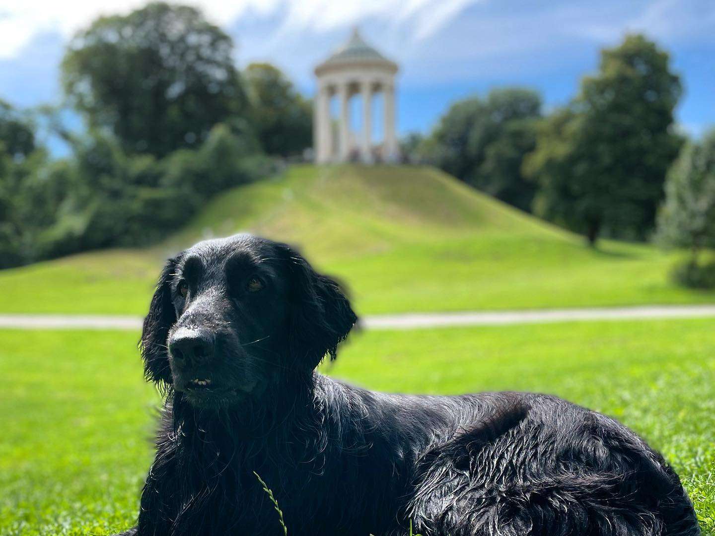 Ansicht 1 von WauMiau Tierarztpraxis für Verhaltenstherapie und Hundeschule - Dr. med. vet. Stefanie Sprauer
