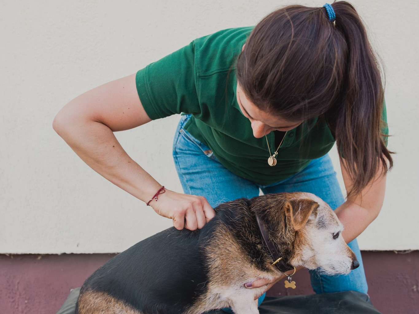 Ansicht 3 von Mobile Tierarztpraxis für Chiropraktik Dr. Amelie Plenge