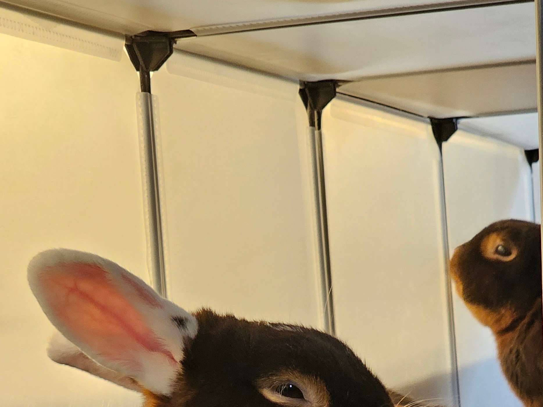Ansicht 1 von Tierarztpraxis Claudia Halbach