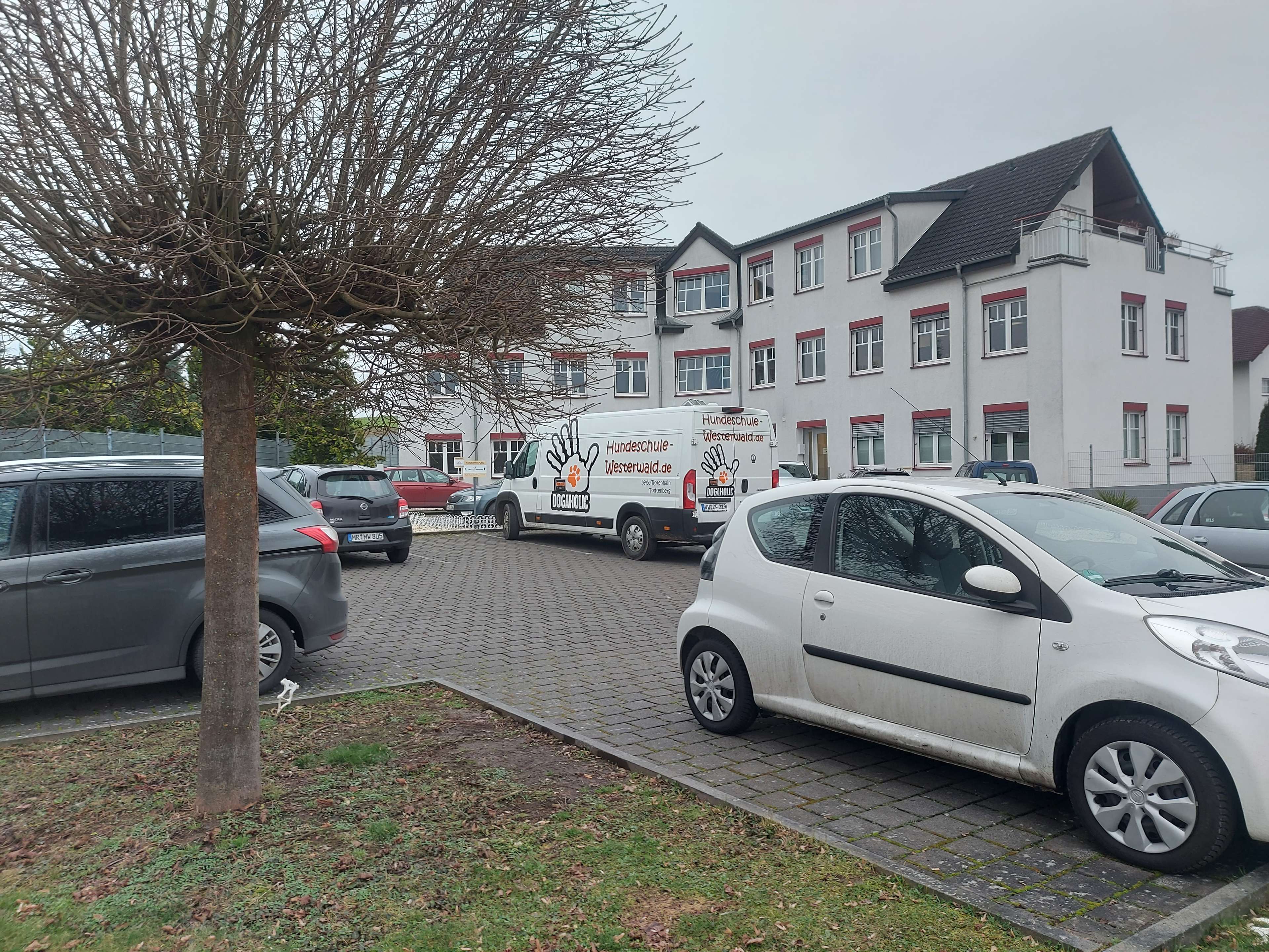Ansicht 1 von Dr. Birgit Koerschgen, Lea Bot und Dr.Emma Hübers - Tieraugenzentrum