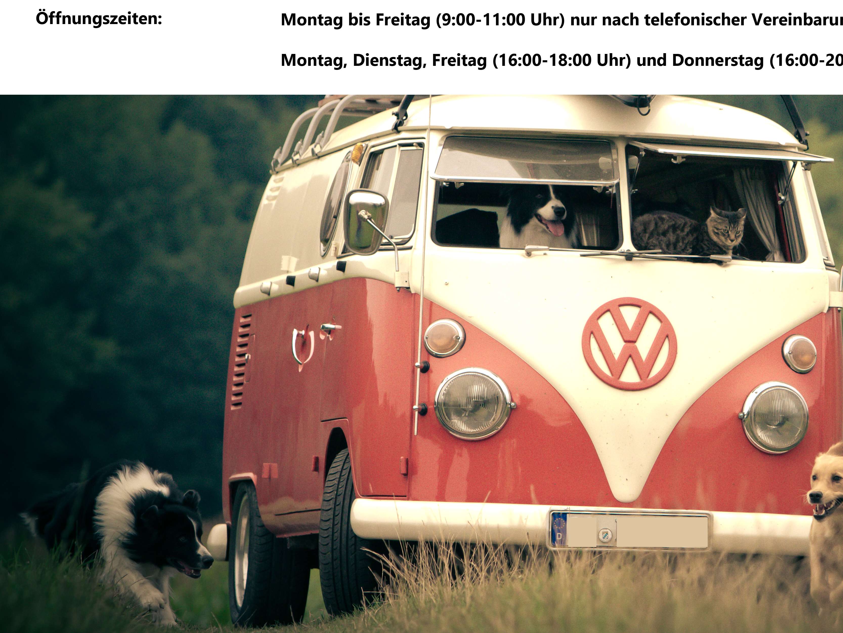 Ansicht 1 von Tierärztliche Praxis Geck