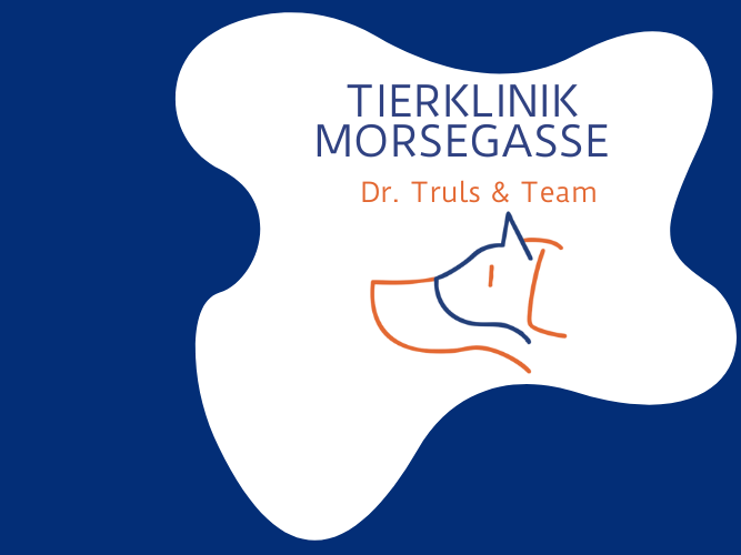 View 1 of Tierklinik Morsegasse
