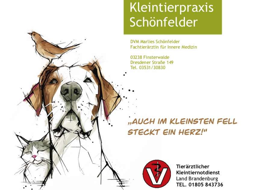 Ansicht 2 von Marlies Schönfelder