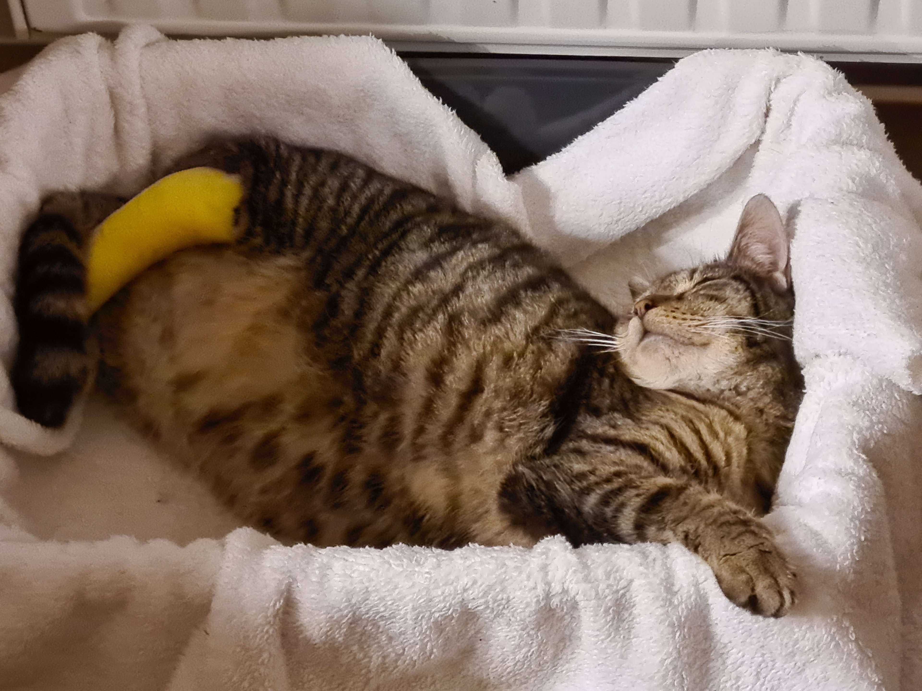 Ansicht 1 von Tierarzt Dr. Wehlitz