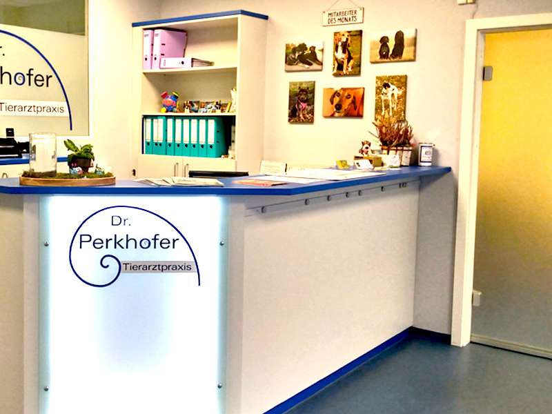 Ansicht 1 von Tierärztin Dr. Katharina Perkhofer | Tierarztpraxis Neustadt